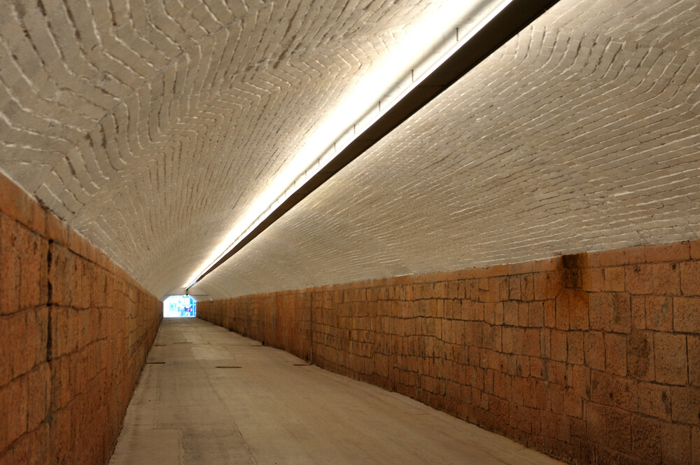 DSC 3362